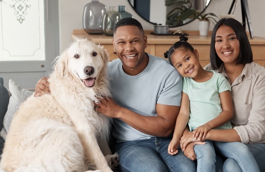 Modmax Sectional features